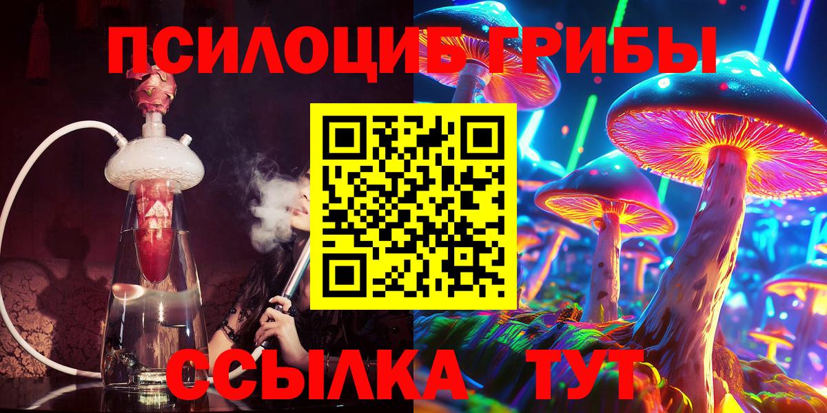Славгород  Псилоцибиновые грибы мицелий  Псилоцибиновые грибы MAGIC MUSHROOMS  Вход с VPN 