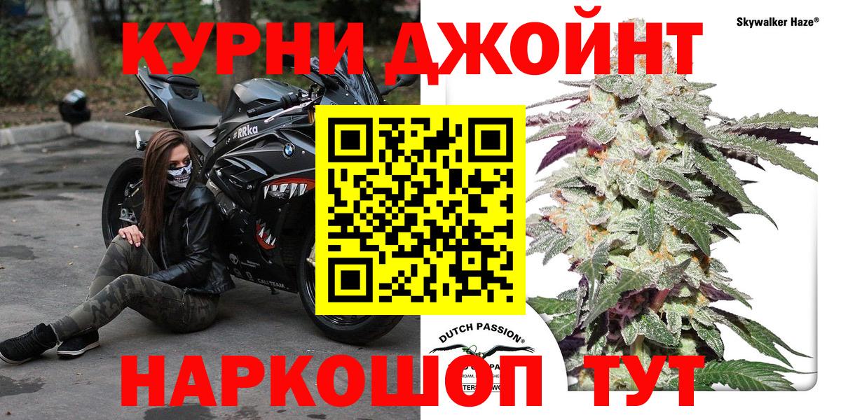 Каннабис индика Славгород
